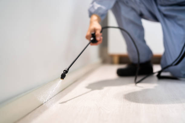Rodent Entry Point Assessment in Drexel Hill