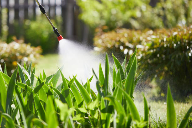Tamper-Resistant Bait Stations for Rodents in Drexel Hill