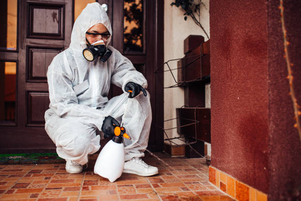 Attic and Crawl Space Rodent Treatment in Drexel Hill