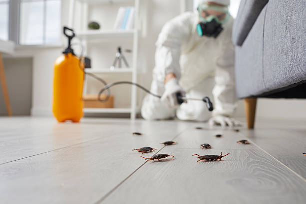 Commercial Rodent Management in Drexel Hill